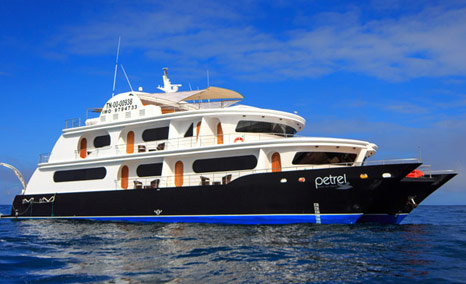 Petrel Galapagos Cruise