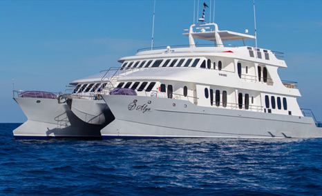Alya Galapagos Cruise
